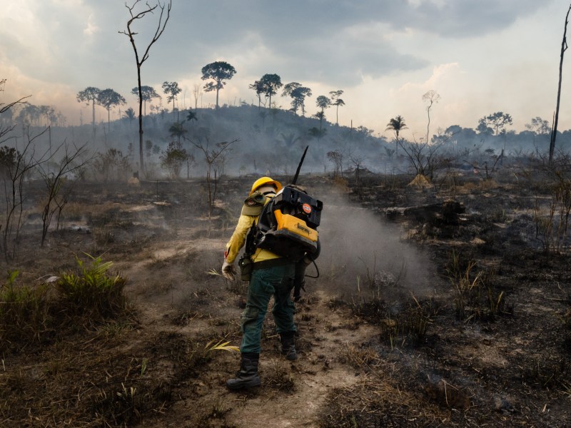 Members of the IBAMA forest fire brigade (named Prevfogo) fight burning in the Amazon area of rural settlement PDS Nova Fronteira, in the city of Novo Progresso, Para state, northern Brazil, on September 3, 2019.