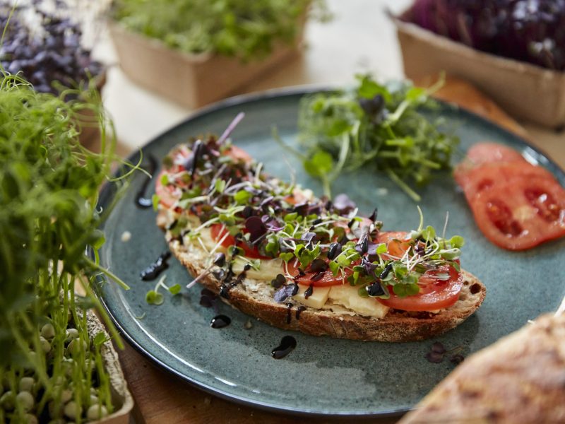 Brown bread covered with cheese, tomato and microgreens on plate
