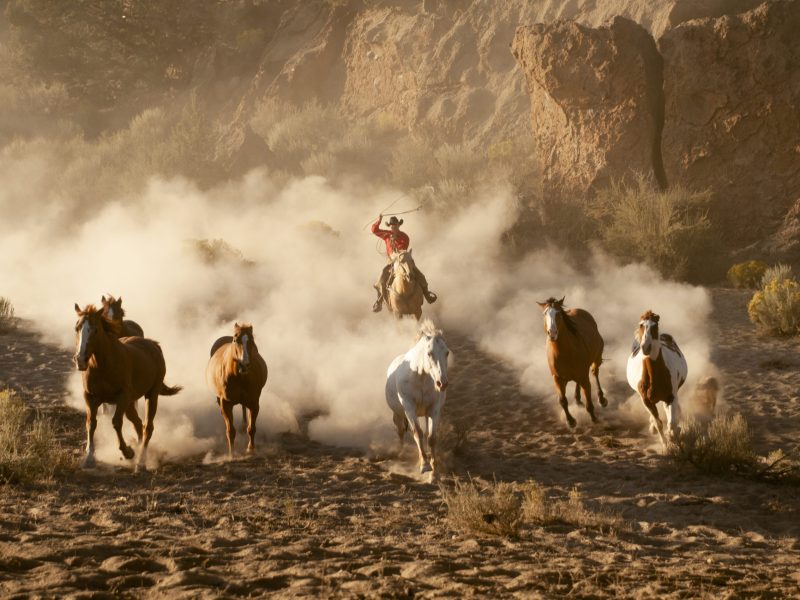Cowboys herding horses on the Oregon high desert
