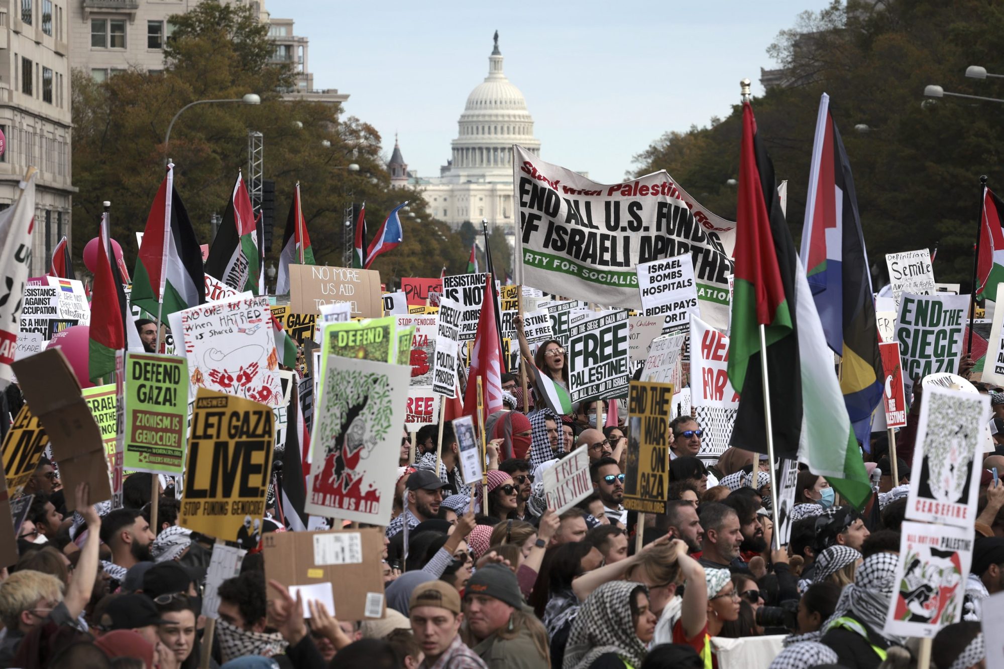 Protesters gather in Freedom Plaza during the National March on Washington for Palestine while calling for a ceasefire between Israel and Hamas on November 4, 2023 in Washington, DC. Photo by Win McNamee/Getty Images