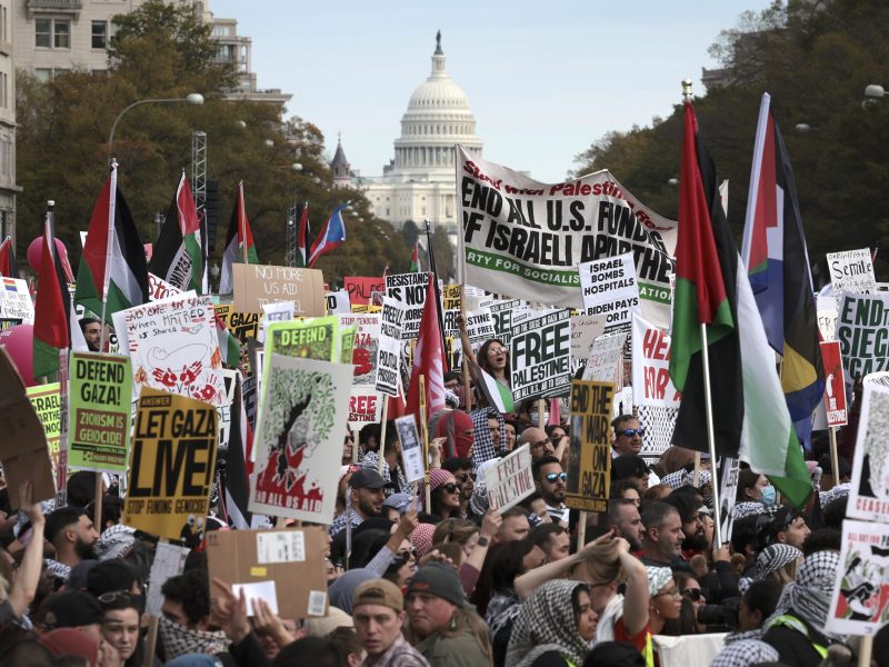 Protesters gather in Freedom Plaza during the National March on Washington for Palestine while calling for a ceasefire between Israel and Hamas on November 4, 2023 in Washington, DC. Photo by Win McNamee/Getty Images