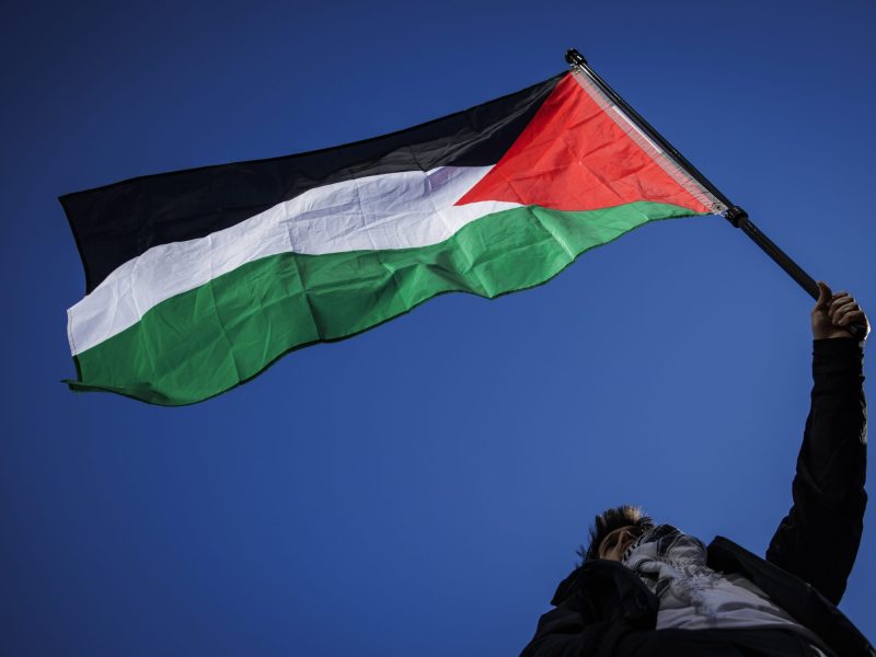 A pro-Palestine demonstrator waves a Palestinian flag in the air as demonstrators gather at Freedom Plaza for a rally on January 13, 2024 in Washington, DC. Photo by Samuel Corum/Getty Images