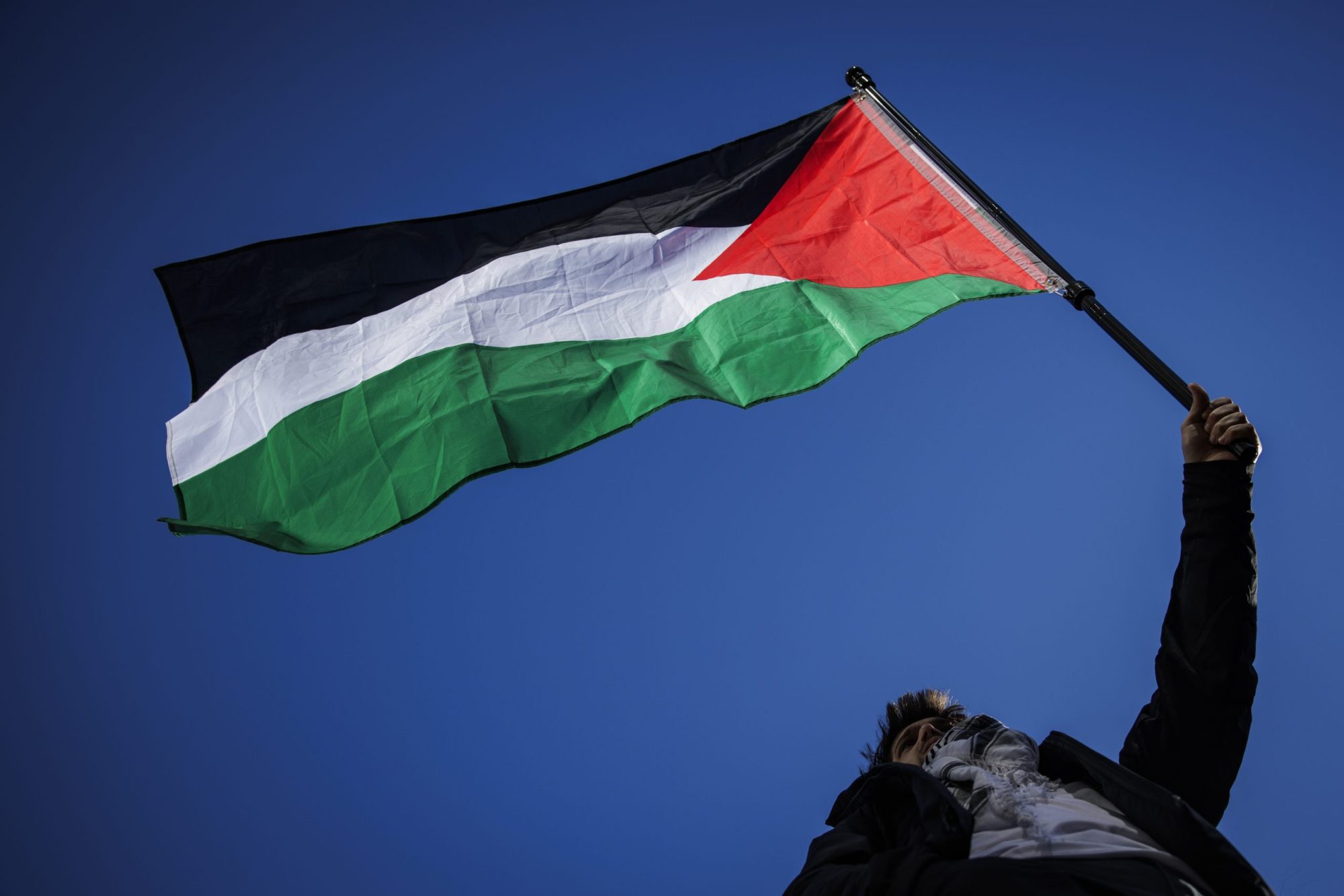 A pro-Palestine demonstrator waves a Palestinian flag in the air as demonstrators gather at Freedom Plaza for a rally on January 13, 2024 in Washington, DC. Photo by Samuel Corum/Getty Images